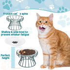 Roshtia 4 Sets Elevated Cat Bowls Ceramic Raised Cat Food Bowls with Metal Stand Dishwasher Safe Dishes Non Slip Elevated Food Plate(Green,Paw)