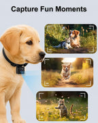 Dog Collar Camera 1080P HD Video Recording Pet POV Cam | M-Size Collar for Medium Dogs & Big Cats up to 44 lbs, No WiFi No App Action Camera, Night Vision (Micro-SD Card Required)