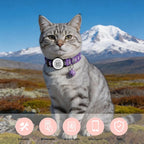 Smart QR Code Cat Collar 2-Pack: Your Cat's Digital Safety Profile, Breakaway Reflective Collar with Instant Email Alert When Scanned (Pink & Purple A)