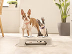 WeatherTech Double High Pet Feeding System - Elevated Dog/Cat Bowls - 14 inch High Dark Grey (DHC9614DGDG)