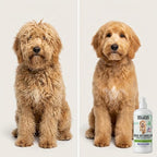 We Love Doodles Small Slicker Brush & Lavender Detangler Spray Pack - Dog Leave-In Conditioner for Reducing Mats, Knots & Tangles, Dematting & Conditioning Grooming Kit, 16 oz