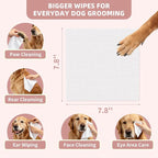 IMMHABI 100 Count Lick-Safe Dog Wipes, Coconut Plant-Based Hypoallergenic Dog Wipes for Paws, Butt, and Anal Gland Care, Cleansing & Deodorizing for Puppies