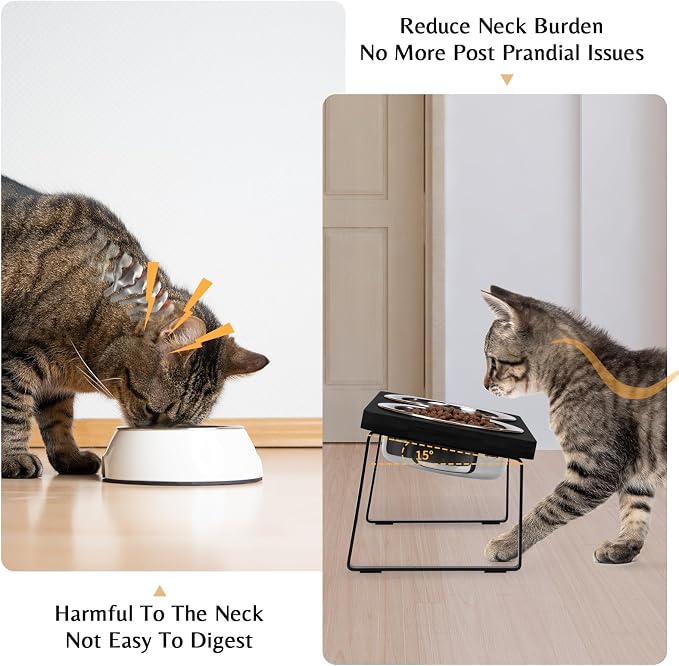 Elevated Cat Food Bowl for Indoor Cat, Black Raised Water Bowl Set for Pet | Whisker Friendly, Anti Vomit, Feeding Station for Puppy, Stainless Steel, Pet Dish, Easy Assembly, Bamboo, Dishwashers Safe
