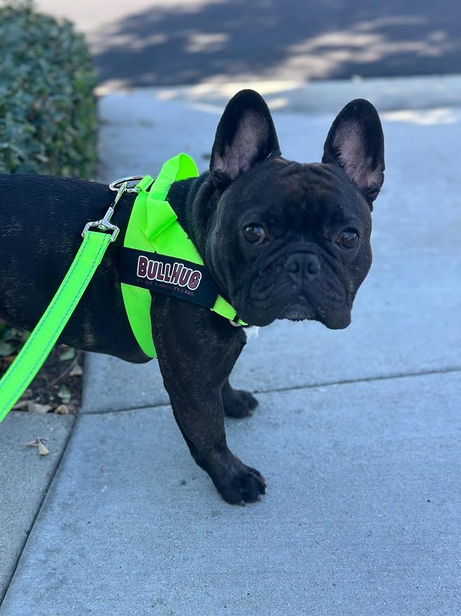 BULLHUG Adjustable Dog Harness– No Pull, No Choke – for English Bulldogs, French Bulldogs, Pugs & Broad-Chested Breeds – Easy, Safe Walks (NEON Green, Small)