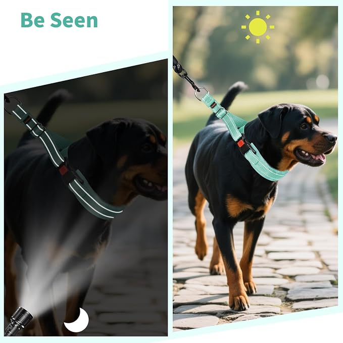 Mayerzon Martingale No Pull Collar for Medium Large Dogs | Teal, M | Patented Anti Pull Dog Collar with Buckle for Walking Training, Reflective Stitching, Neoprene Padding, Adjustable, Sturdy