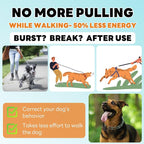 Supet Prong Collar for Dog Training Collar, Adjustable Dog Training Collar with Buckle for Small Medium Large Dogs(Packed with One Extra Links)