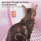 RIZZARI Pet Carrier for Small Dogs & Cats, Airline Approved Travel Carrier | Airline Approved Size,Durable Metal Door,Top Carry Handle,Ventilated Design,Includes Feeding Bowl