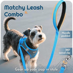 Eagloo Small Dog Harness and Leash Set, Step in Extra Small Puppy Pet Vest | Light, Soft, Breathable Air Mesh, Easy on and off with Hook & Loop, Reflective for Safe Walking, Blue, XXS