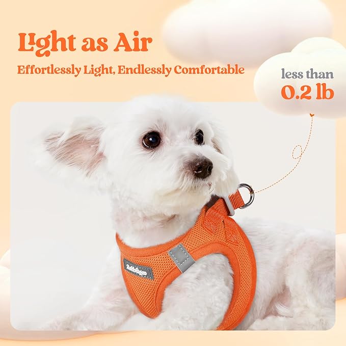 rabbitgoo Dog Harness Medium Sized and Leash Set, Step-in Puppy Pet Vest | Light, Soft, Breathable Air Mesh, Easy on and Remove with Hook & Loop, Secure Reflective for Walking, Orange XXL