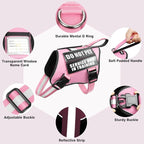 Service Dog Harness and Leash Set, Training Dog Vest with 10 Dog Patches, Emotional Support Therapy Dog Vest Harness for Small Medium Large and Extra Large Dogs(Pink, XS)