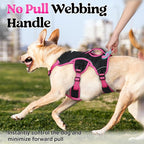 rabbitgoo Escape Proof Dog Harness for X-Large, No Pull with Lift Handle | No Escape, Full Soft Padded, Reflective Adjustable Vest, Leash Clip for Walking Hiking Training, Rose & Black, X-Large