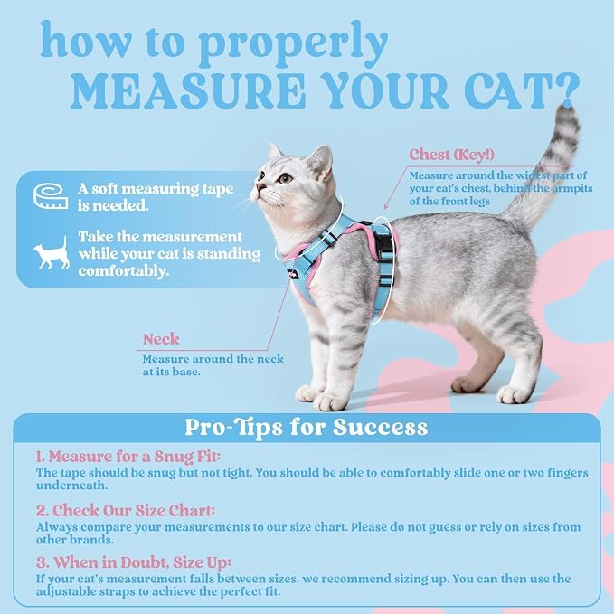 rabbitgoo Cat Harness and Leash Set, Escape Proof Vest, Light Blue & Pink | Soft Breathable Mesh, Easy Adjustable Fit, Snap Buckles, Sturdy Clip, Reflective Strips, for Average Cats Walks, S