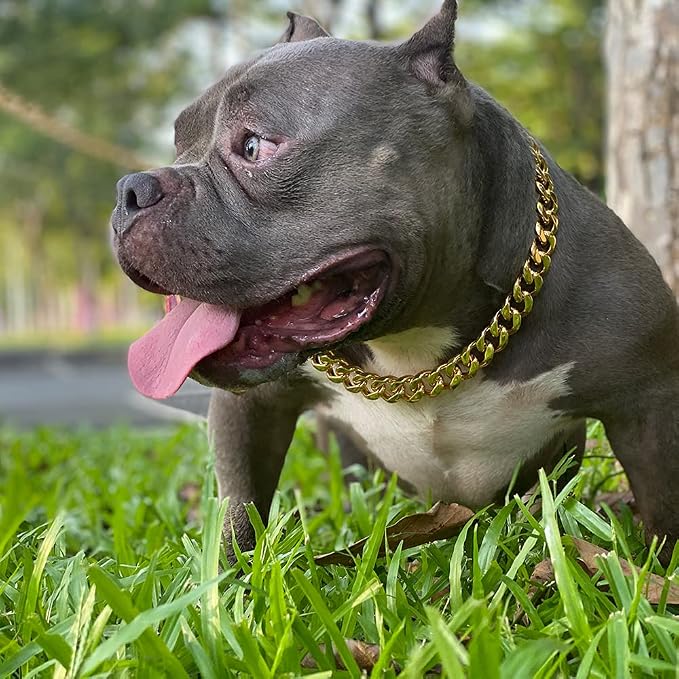 Gold Dog Chain Collar with Design Secure Buckle & ID Tag,18K Cuban Link Strong Heavy Duty Chew Proof Metal Walking Collar for Medium Dogs(19MM 14'')