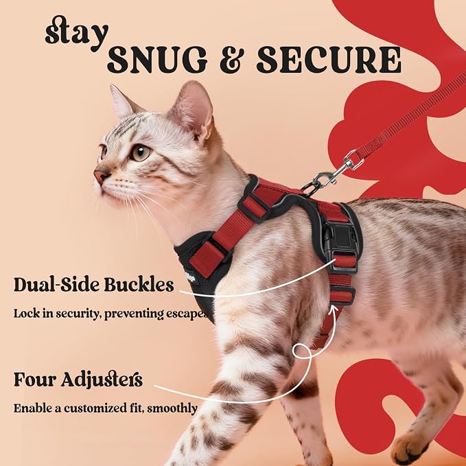 rabbitgoo Cat Harness and Leash Set, Escape Proof Vest, Black & Red | Soft Breathable Mesh, Easy Adjustable Fit, Snap Buckles, Sturdy Clip, Reflective Strips, for Small & Average Cats Walks, Xs