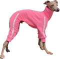 D Doggy Star Italian Greyhound Clothes Stretchy Towel Sports Onesie Outfit Whippet for Dog Coat (L,TWL NeonPink)