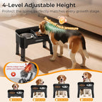 URPOWER Mess Proof Elevated Dog Bowls for Small Dogs with Slow Feeder | No Spill Water Bowl, Slow Feeder Dog Bowls, Non-Slip Food and Water Bowl Set for Small, Medium & Large Dogs