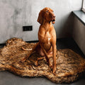 Faux Fur Orthopedic Dog Bed, Memory Foam, Brown 50"x30" | Plush Washable Dog Rug with Waterproof Machine Washable Cover, Calming for Anxious Senior Dogs, Relieves Joints