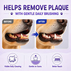 Dog Toothbrush, Dual-Head, for Medium-Large Dogs, Blue | Soft Bristles for Gentle Cleaning, 60° Curved Bristles for Better Coverage ,Comfortable for Sensitive Gums
