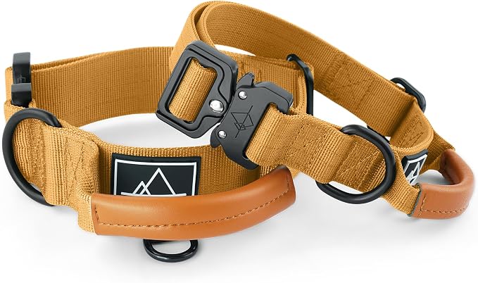 MADE TO ROAM Control Dog Collar | Leather Handle & Heavy Duty Metal Buckle | Premium adjustable collar with vegan leather handle. Fits medium to large dogs. 15 colors. Matching leash & harness