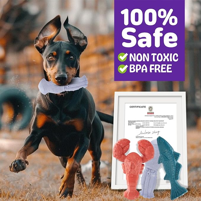 Kimee Dog Toys for Aggressive Chewers, 3 Pack Indestructible Dog Chew Toys, Super Chewer Toys with Tough Nylon Bacon Flavor for All Breed Sizes, Teeth Cleaning & Training, Boredom Relief