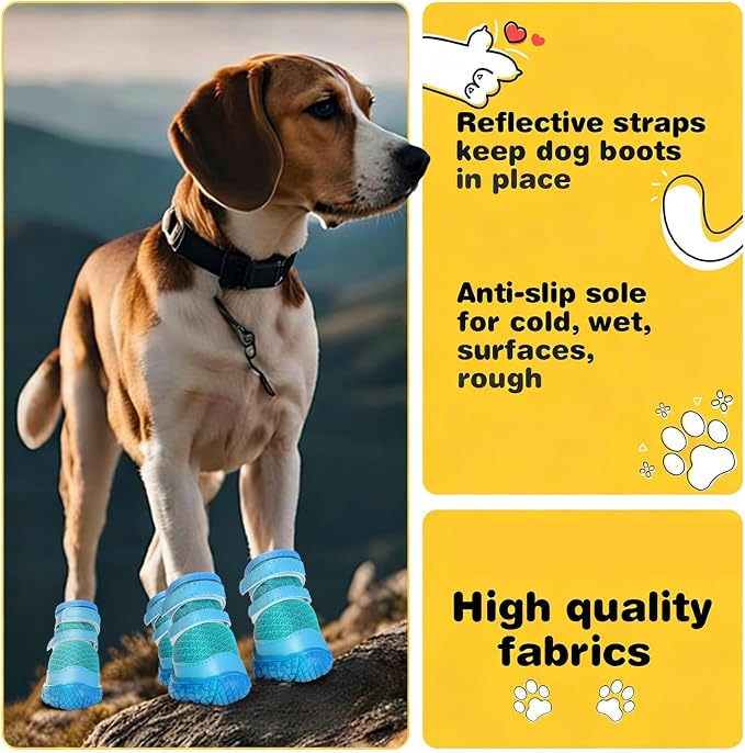 Dog Shoes for Small Dogs, Dog Boots & Paw Protectors for Hot Pavement Winter Snow Hiking, Anti-Slip Dog Booties for Hardwood Floor Blue Size 2