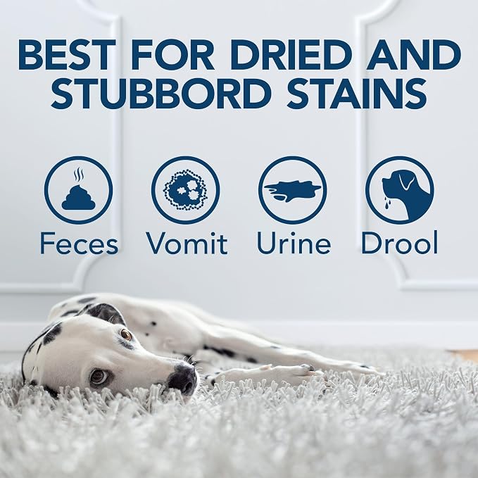 Simple Solution Oxy Pet Stain Remover, Carpet Cleaner, Pet Stains, Gallon | Upholstery Cleaner, Pet Odor Eliminator, Carpet Spray, Dog Urine Cleaner, Spot Cleaner, Waste & Vomit Odor, Cat Stains