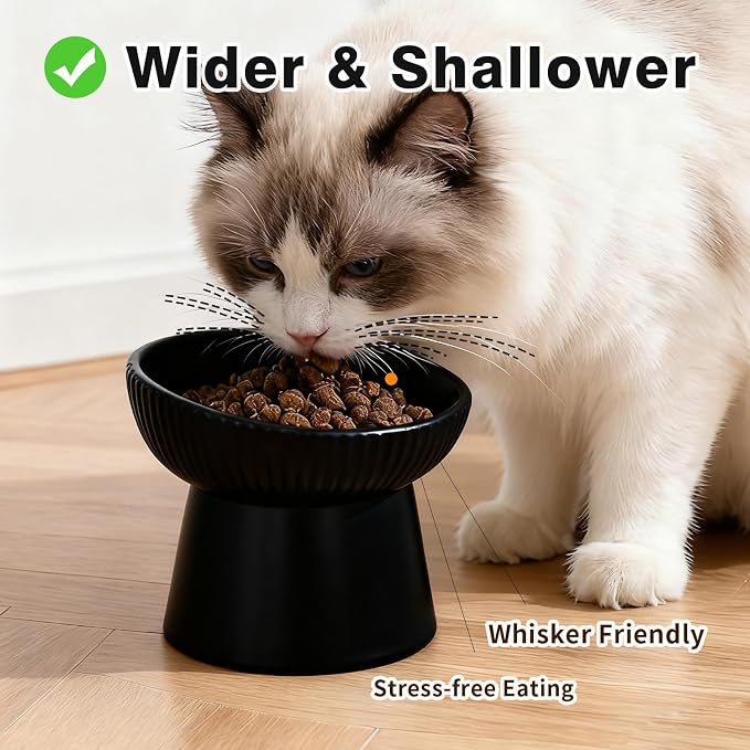 Elevated Cat Food Bowl, Ceramic Raised and Tilted Water Bowl, Whisker Fatigue Cat Bowls for Indoor Cats, Anti Vomiting and Protect Spines Pet Feeding Dishes for Kittens Small Dog, Heavy Non-Slip Base