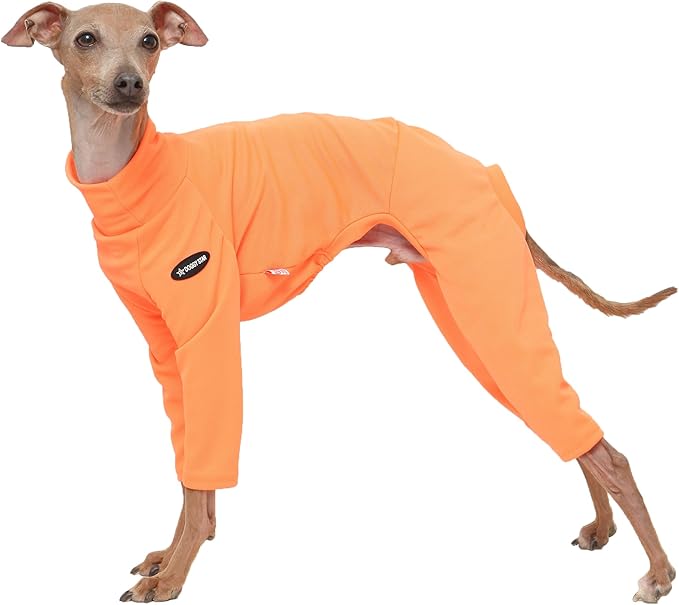 D Doggy Star Italian Greyhound Clothes Stretchy Neon Onesie Spring Summer (2XL,Onsi Ne Orange)