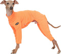 D Doggy Star Italian Greyhound Clothes Stretchy Neon Onesie Spring Summer (2XL,Onsi Ne Orange)