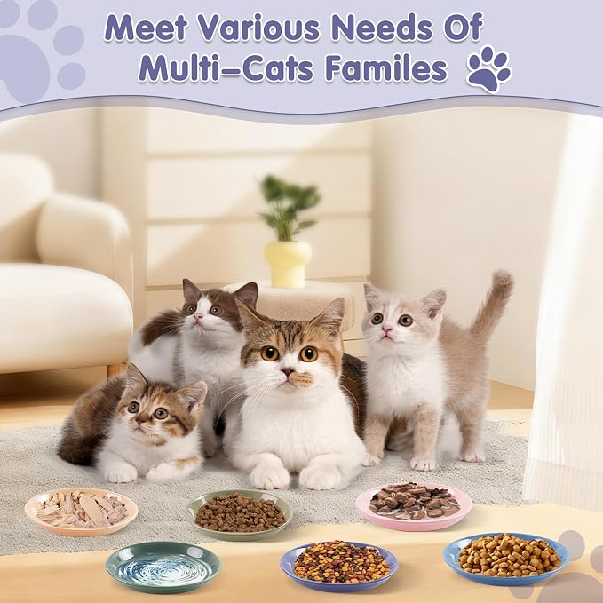 6 Pack Cat Food Bowl, Ceramic Cat Bowls, Anti Whisker Fatigue Cats Bowl Set | 5.5 Inches Shallow Wide Kitten Plates for Food and Water (CaiSe-B)