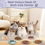 6 Pack Cat Food Bowl, Ceramic Cat Bowls, Anti Whisker Fatigue Cats Bowl Set | 5.5 Inches Shallow Wide Kitten Plates for Food and Water (CaiSe-B)