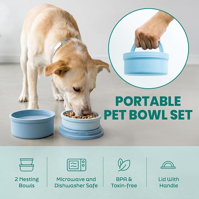 Portable Pet Feeder, Travel Dog Bowls with Lid and Handle, Microwave and Dishwasher-Safe, 10oz Inner Bowl & 20oz Outer Bowl, Grey