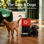 Automatic Cat Feeder with Camera: 6L Automatic Dog Feeder with 2-Way Audio Night Vision Dual Power Supply App Control 2.4G WiFi, Timed Auto Cat Food Dispenser with Stainless Steel Bowl(Black)