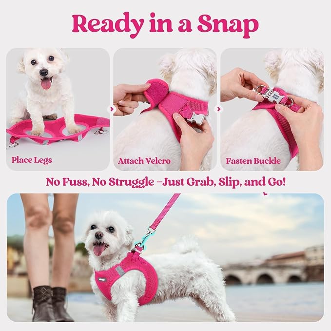 rabbitgoo Dog Harness Small Sized and Leash Set, Step-in Puppy Pet Vest | Light, Soft, Breathable Air Mesh, Easy on and Remove with Hook & Loop, Secure Reflective for Walking, Rose Red XXS