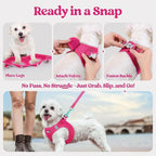 rabbitgoo Dog Harness Medium Sized and Leash Set, Step-in Puppy Pet Vest | Light, Soft, Breathable Air Mesh, Easy on and Remove with Hook & Loop, Secure Reflective for Walking, Rose Red XXL