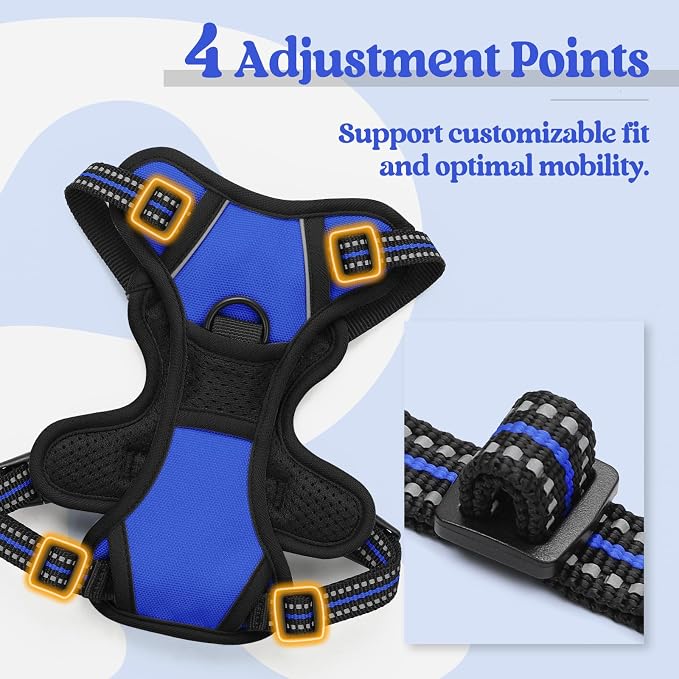 rabbitgoo Dog Harness, No Pull for Small Dogs with 2 Leash Clips, Pet Vest | No Choke with Handle, Adjustable Soft Padded, Reflective, Easy Control for Walking, Dazzling Blue, X-Small