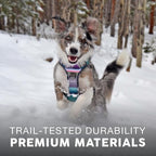 Embark Adventure XL Dog Harness – No-Pull, Reflective Trim, Military-Grade Nylon, 2 Leash Clips with Gel-Lined Handle, Soft & Padded