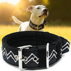 Dog Collar for Large Dogs,2 in Wide Heavy Duty,Pressure-Relief Padded, E-L | Professional Protection for Large and Giant Breeds,Handle for Control,Stainless Steel Buckle Ultra Safety,23-26 in