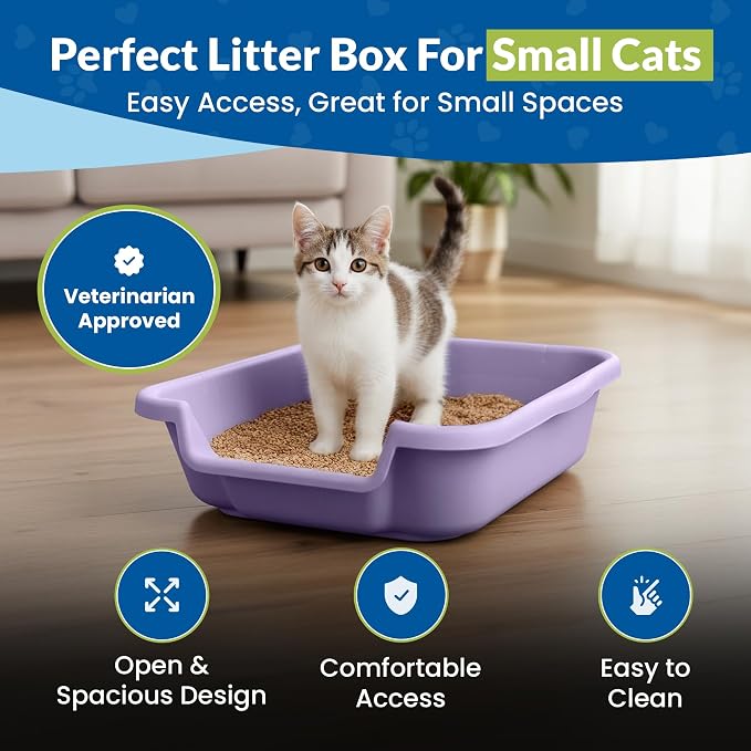 KittyGohere Senior Cat Litter Box Small with Scoop, 2 Pack Lavender | Open Top Low Entrance Kitty Litter Box With With Long-handle Jumbo Scoop, Lightweight & Durable Litters Box, Made in USA
