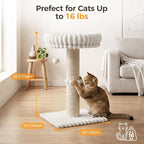 Avont 29" Sisal Cat Scratching Post with Large Plush Perch, Cream | Large Cat Scratcher Tower & Plush Elevated Cat Bed with Removable & Washable Cover, Sturdy Cat Perch for Indoor Cats