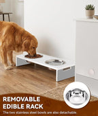 Dog/Cat Feeding Station with Storage, Large Capacity Pet Feeding Station | 23.6 x 23.6 x 31.5 inch, Multi-Layer, Sturdy Pet Storage Cabinet, Waterproof PVC Finish, For Kitchen, Laundry Room & Garage