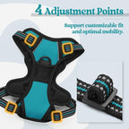 rabbitgoo Dog Harness No Pull with 2 Leash Clips, Adjustable Soft Padded, Reflective Oxford No Choke Pet Vest with Easy Control Handle for Puppy, Teal, XS | No Choke with Handle, Adjustable Soft Padded, Reflective, Easy Control for Walking, Teal, X-Small