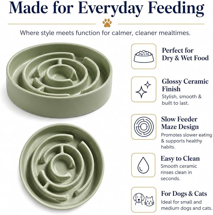 Ceramic Slow Feeder Dog Bowl 1.5 Cup Puzzle Dish for Small Medium Dogs | Glazed ceramic maze bowl with 1.5-cup capacity for dry or wet food, sized for small and medium dogs
