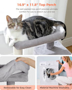 Small Cat Tree for Kittens, 32 in Cat Tower with 2 Cozy Condos | Multi-Level Cat Tree with Scratching Posts, Soft Padded Perch, 2 Dangling Toys