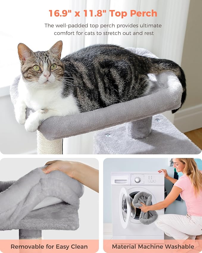 Small Cat Tree for Kittens, 32 in Cat Tower with 2 Cozy Condos | Multi-Level Cat Tree with Scratching Posts, Soft Padded Perch, 2 Dangling Toys