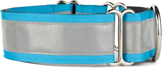If It Barks - 1.5" Reflective Martingale Collar for Dogs - Adjustable - Made in USA - Strong, Durable, and Comfy - Ideal for Training - Suitable for Most Breeds - Medium, Turquoise