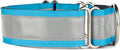 If It Barks - 1.5" Reflective Martingale Collar for Dogs - Adjustable - Made in USA - Strong, Durable, and Comfy - Ideal for Training - Suitable for Most Breeds - Large, Turquoise