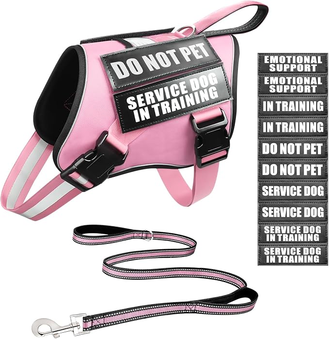 Service Dog Vest Harness and Leash Set+10 Patches,Easy Walk Pink S | No Pull&Adjustable Reflective Dog Harness Small Sized,Dog Leash with 2 Soft Padded Handles,for Training Hiking Walking