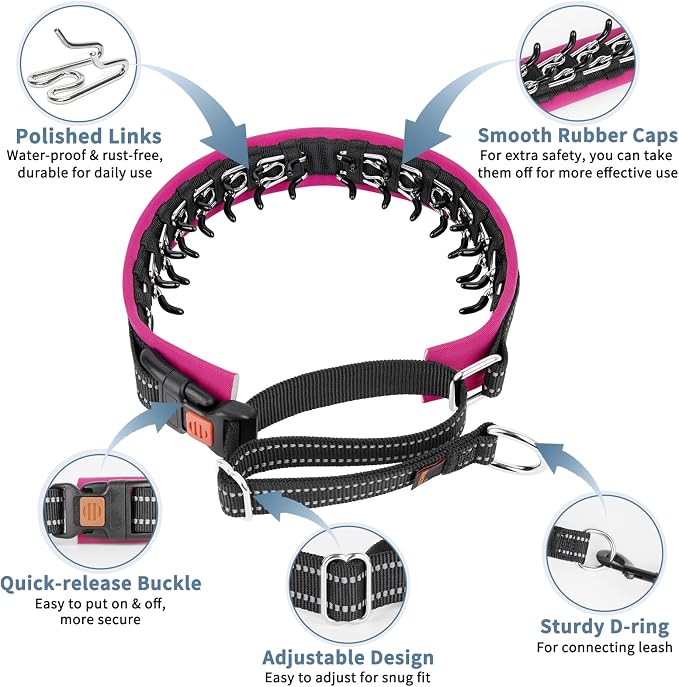 Mayerzon Martingale No Pull Collar for Medium Large Dogs | Hot Pink Trim, M | Patented Anti Pull Dog Collar with Buckle for Walking Training, Neoprene Padding, Reflective Stitching, Adjustable, Sturdy