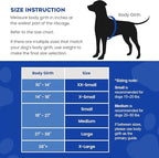 Dog Life Jacket — Premium Swim Vest with SafeChin Anti-Choke Collar | PAWS Aboard Racing Flames | RapidLift Rescue Handle, D-Ring, Reflective Trim | Boating, Kayaking, Pool | Small (15–25 lbs)